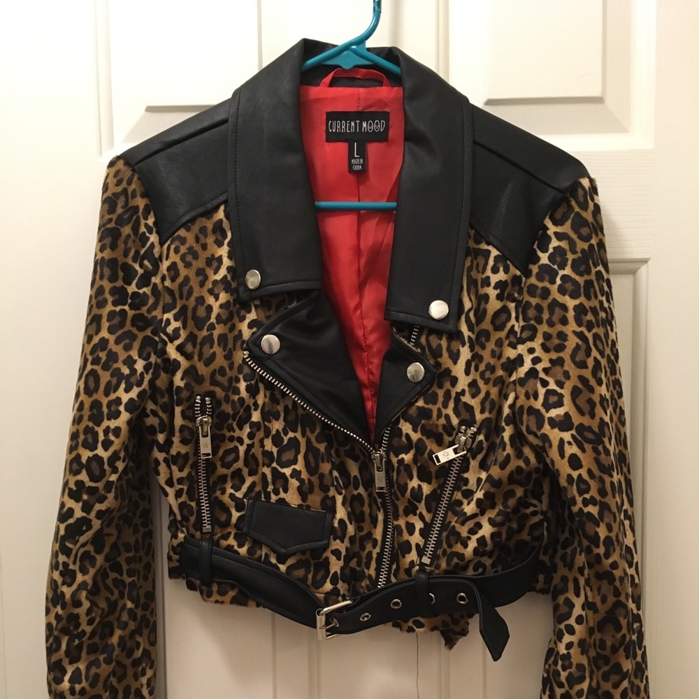 DOLLS KILL | Leopard Print Moto Jacket